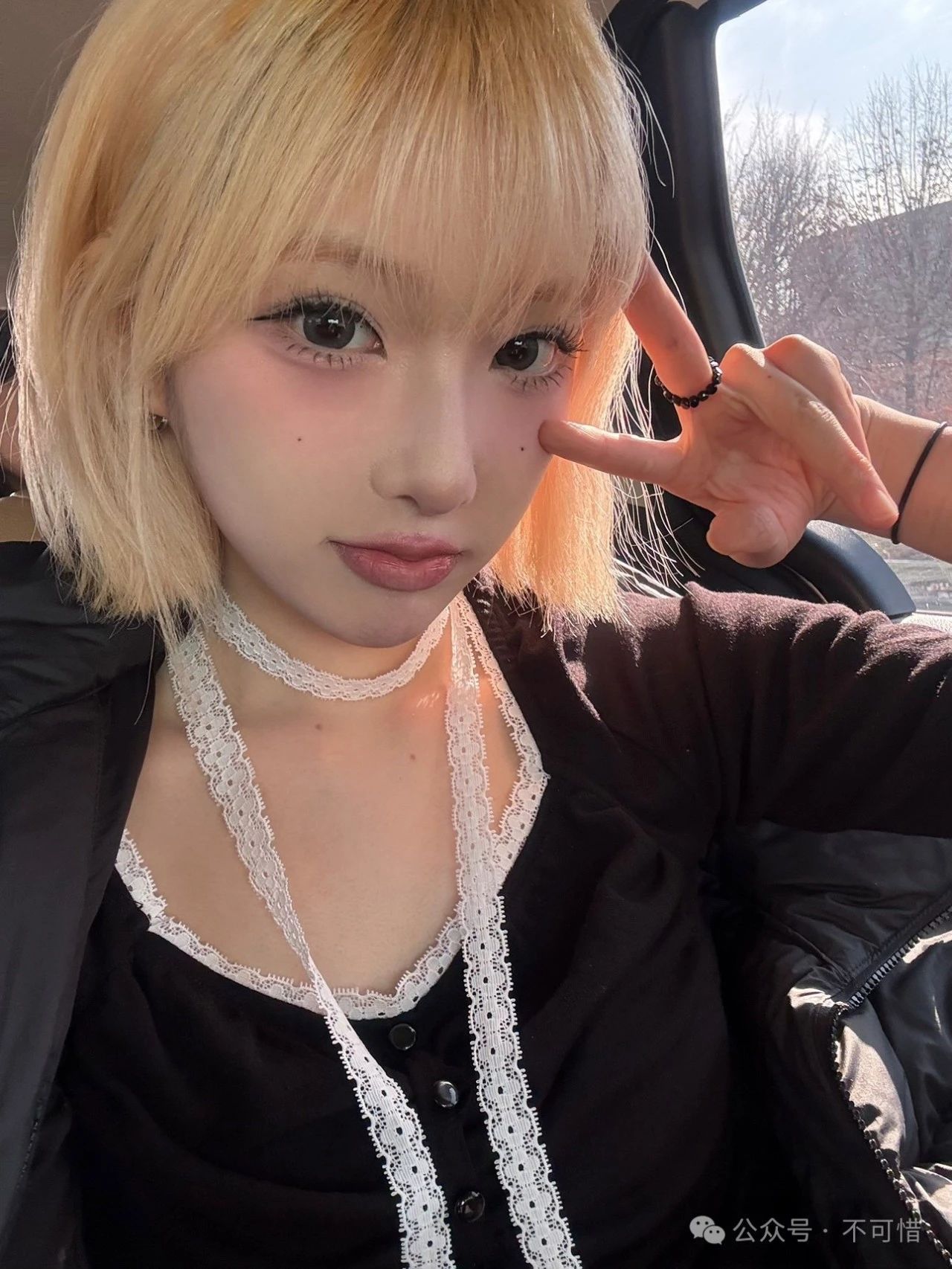 TRACER 赵希珍 简介 TRACER 赵希珍 简介