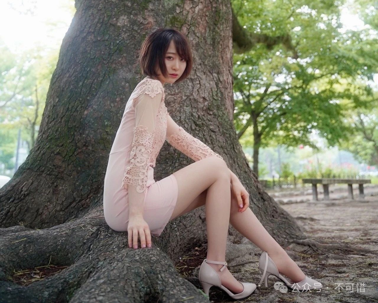 鸟井玲 简介 鸟井玲 简介