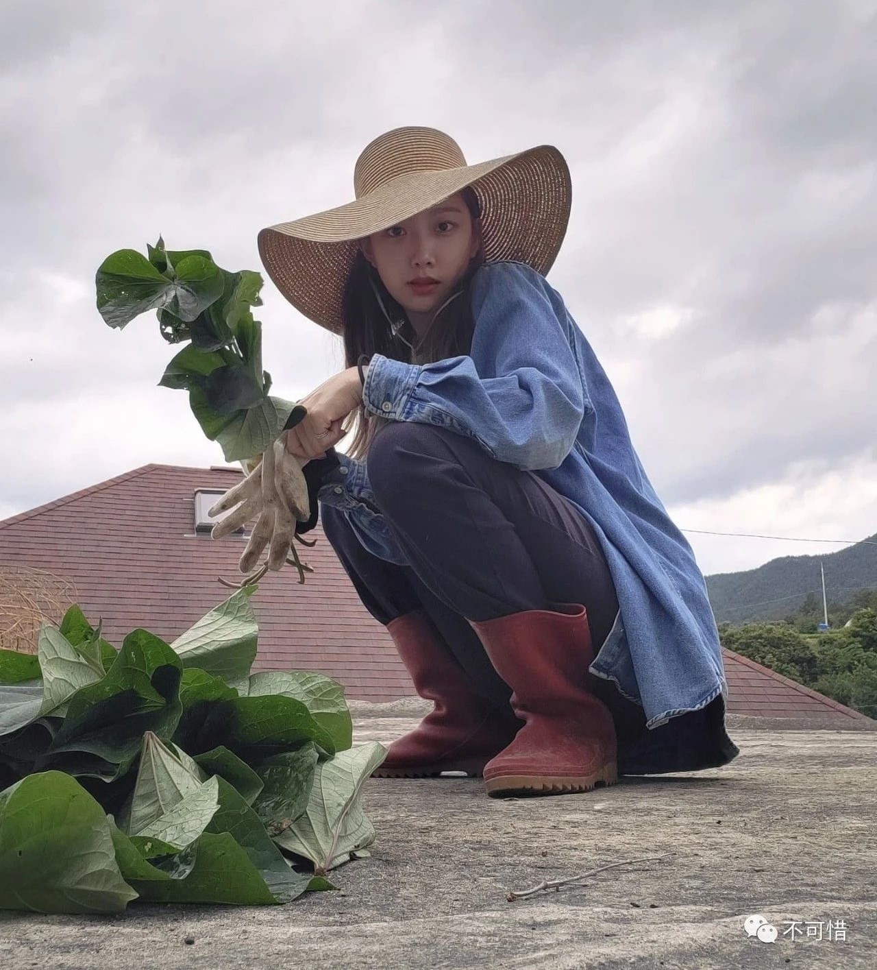 许秀娟 简介 许秀娟 简介