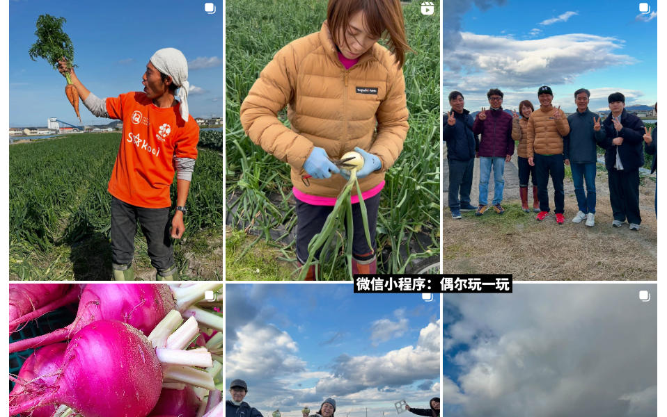 日本农民 Instagram