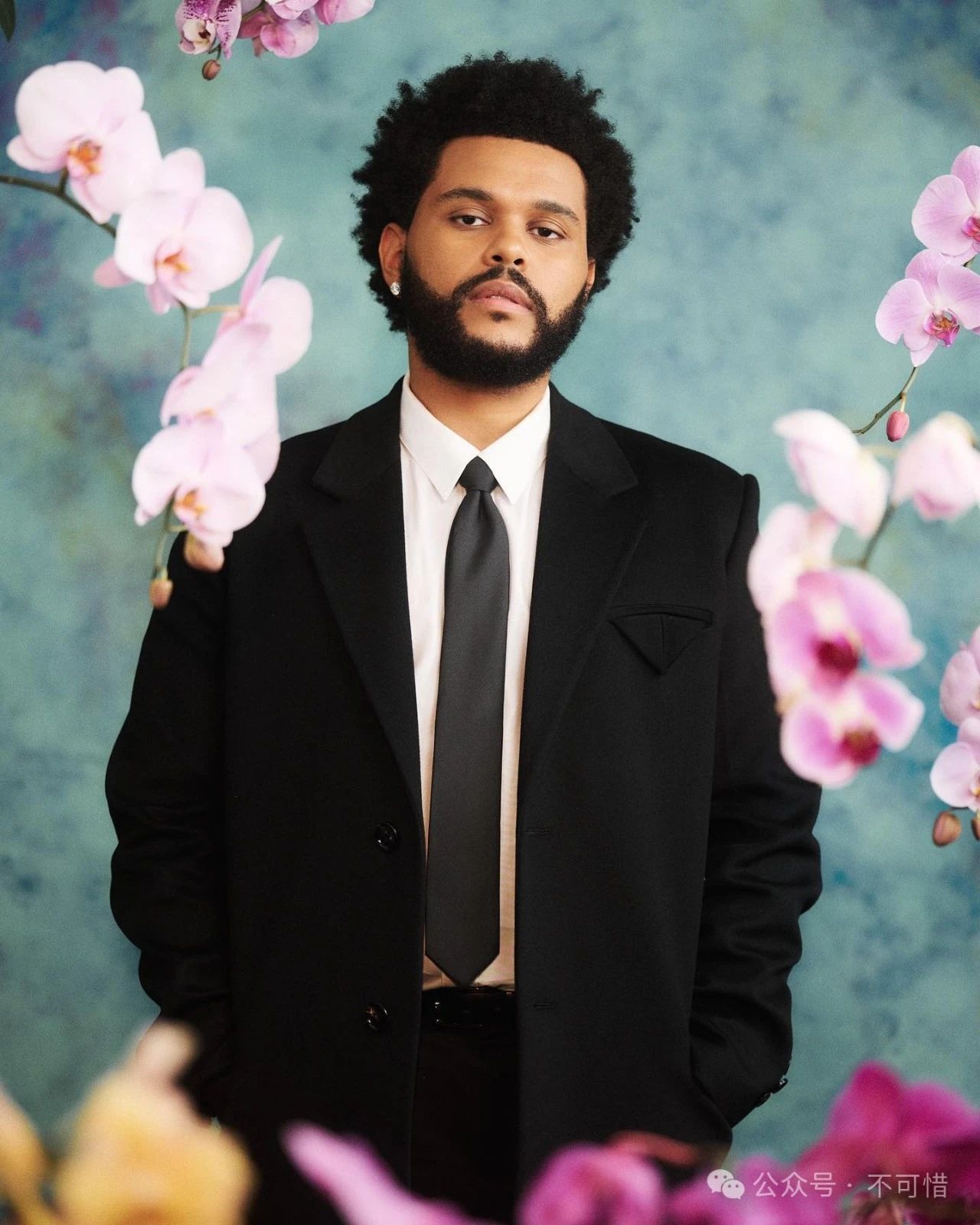 The Weeknd 个人资料#钱钱