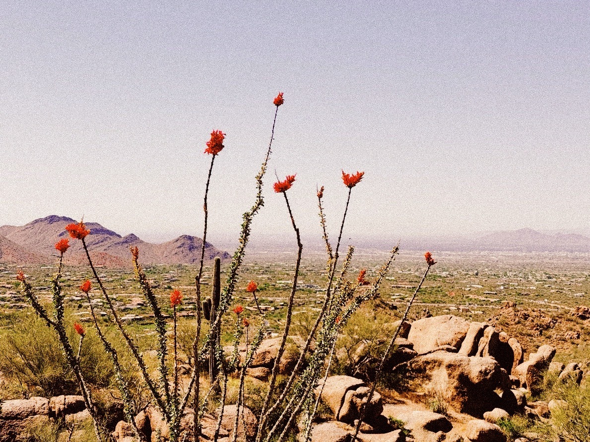 用「杯子技巧]试探对方想法